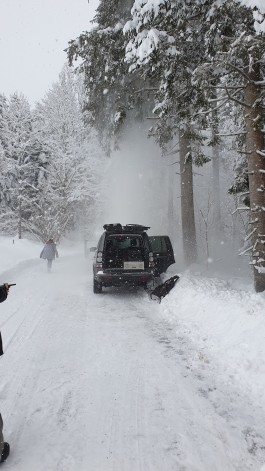  Alexander Püringer - Cinematographer