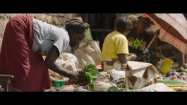 Alexander Püringer - Cinematographer