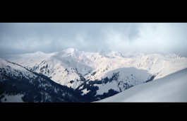  Alexander Püringer - Cinematographer