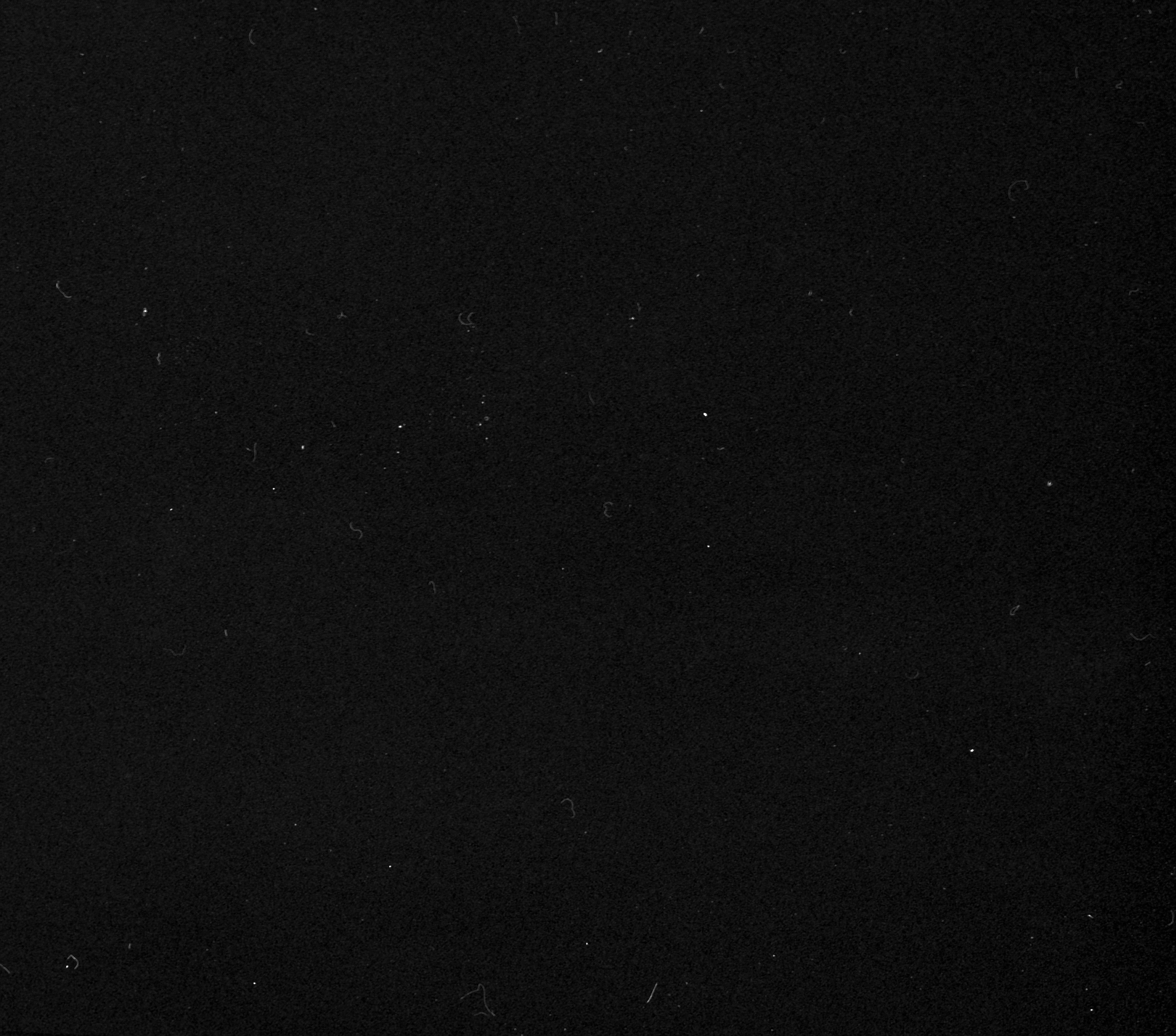 Alexander Püringer - Cinematographer