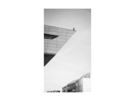 Alexander Püringer - Cinematographer