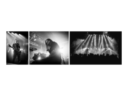 Alexander Püringer - Cinematographer